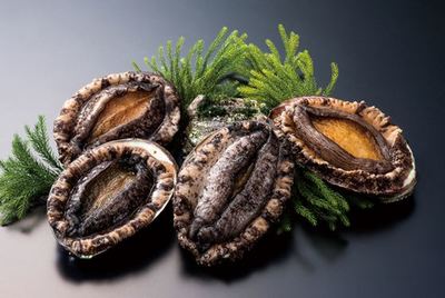 鮑魚(yú)的清洗 怎么洗?