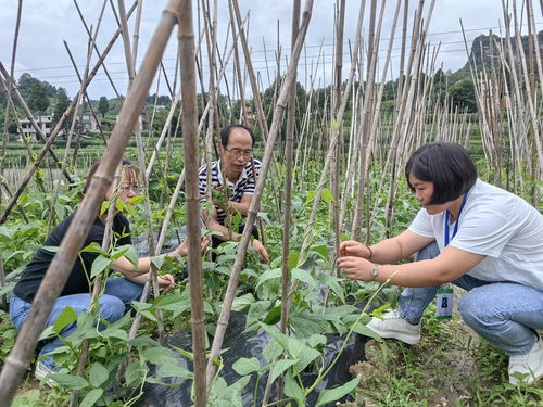 習水農檢中心 農產品質量快速檢測 守護 菜籃子 安全