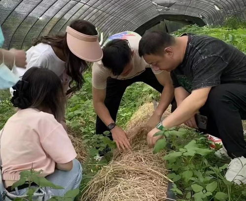 華東交通大學(xué) 錨定鄉(xiāng)村振興主線(xiàn) 推動(dòng)調(diào)查研究成果落地生根