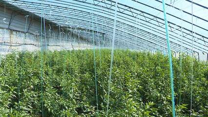 邳州新聞