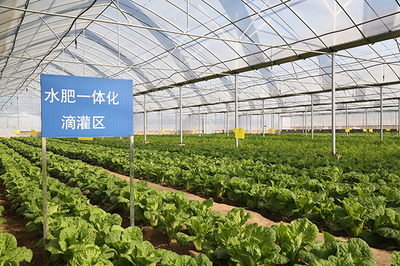 農莊與,打造綠色智慧農業新模式