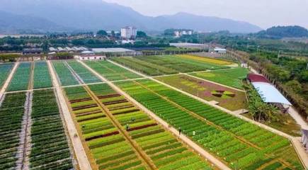 全國農牧漁業豐收獎出爐,佛山一人獲農業技術推廣貢獻獎