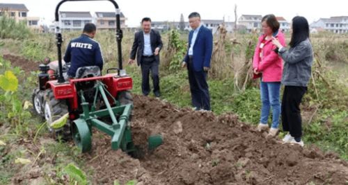 護(hù)農(nóng) 撂荒地八大類特色作物典型種植模式
