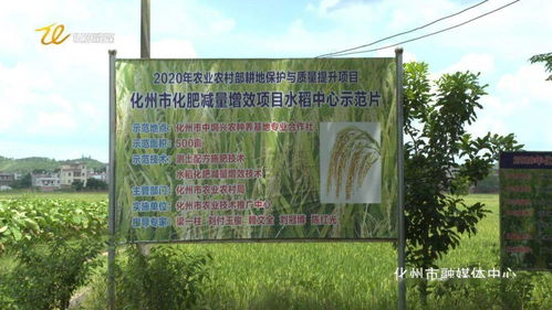 市融媒體助力 中垌這個專業(yè)農(nóng)民合作社要火了