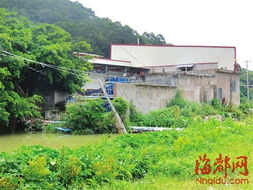 莆田江口園頂村一食品廠排放污水 周邊農(nóng)田無法耕作