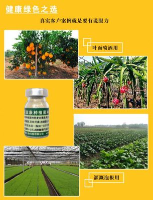 種植火龍果一畝地需要用多少農(nóng)富康種植em菌種