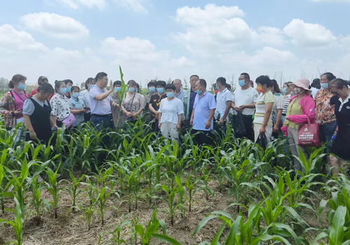 濉溪縣2022年高素質農民培育糧食作物栽培三班順利開班