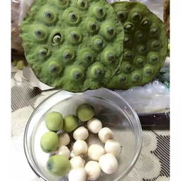 寧遠(yuǎn)妹紙們 多吃這三個(gè) 豆豆 ,讓你擁有傲人波濤