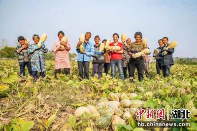 棗陽(yáng)致富的秘訣