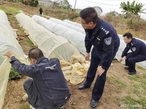 禁種鏟毒不止步,全面踏查守凈土