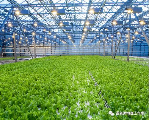 上帝視角看我們的田,附15種特色農(nóng)業(yè)簡介