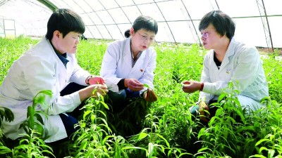 走,把科技成果 種 到田間地頭 寧夏加速科技成果轉化賦能現代農業高質量發展