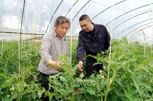 夏管關鍵期,北大荒勞模工匠顯身手