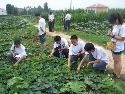 鄧州市穰原農作物種植專業合作社
